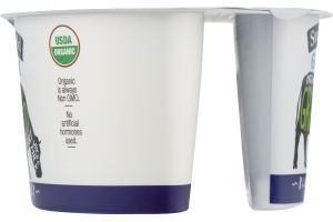 Stonyfield Organic Greek 100% Grassfed Whole Milk Yogurt Blueberry