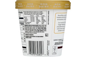 Haagen-Dazs Non-Dairy Frozen Dessert Chocolate Salted Fudge Truffle