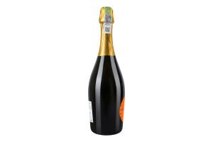 Вино ігристе 0.75л 11% біле екстра сухе DOC Prosecco Alberto Ruffini пл