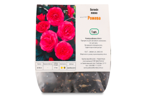 Бульба Бегонія повна рожева Яскрава