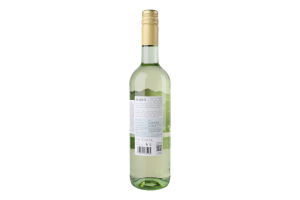 Вино 0.75л 12.5% біле сухе Sauvignon Blanc Andes пл