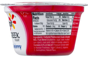 Yoplait Fat Free Greek Yogurt Blueberry