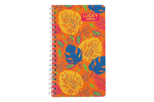 Смарт-блокнот А6 в лінію на пружині 60аркушів Тетрада