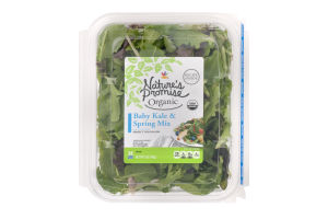 Nature's Promise Organic Baby Kale & Spring Mix