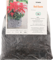 Кореневище Астільба Red Charm Яскрава