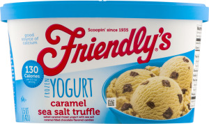 Friendly's Frozen Yogurt Caramel Sea Salt Truffle