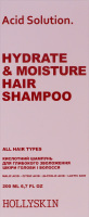 Шампунь для глубокого увлажнения кожи головы и волос кислотный Acid solution Hollyskin 200мл