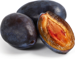 Слива отечественная