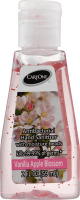 CareOne Antibacterial Hand Sanitizer Vanilla Apple Blossom