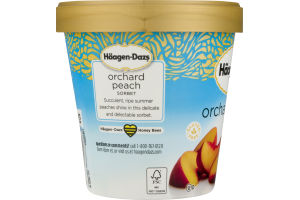 Haagen-Dazs Sorbet Orchard Peach