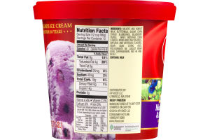 Hood Ice Cream New England Creamery Maine Blueberry & Sweet Cream