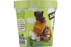 Ben & Jerry's Phish Food Fro Yo