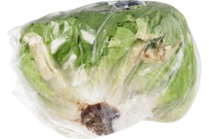Ahold Iceberg Lettuce