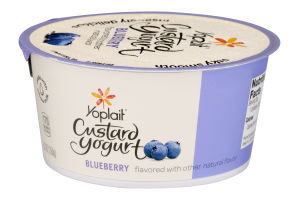 Yoplait Custard Yogurt Blueberry