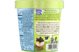 Ben & Jerry's Phish Food Fro Yo