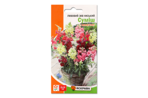 Насіння Квіти Левовий зев низький суміш 0,2г Яскрава