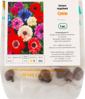 Бульба Анемон подвійний суміш 5шт Яскрава