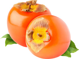 Шарон ваговий