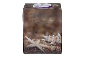 Ahold Facial Tissues Soft & Gentle 3 - ply