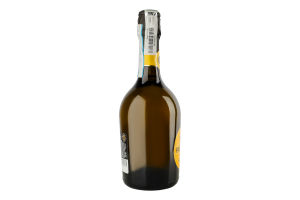 Вино игристое 0.75л 11% белое сухое Prosecco Borgo Sole бут