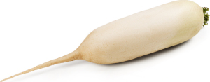 Редька Дайкон