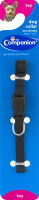 Companion Toy Dog Collar