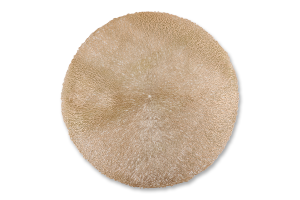 Серветка під гаряче 38см KYYW246