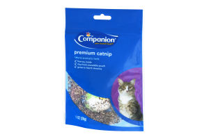 Companion Catnip