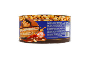 Торт Snacks Київ БКК к/у 450г