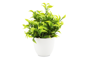 Рослини штучні зелені у горщику 18*12см в асортименті