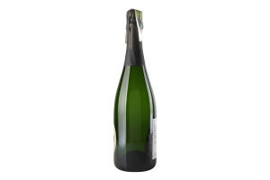 Вино ігристе Opere Trevigiane Brut