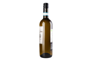 Вино Fidora Pinot Grigio organic DOC Venezia