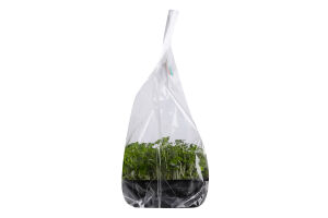 Мікрозелень Green Farm гірчиця