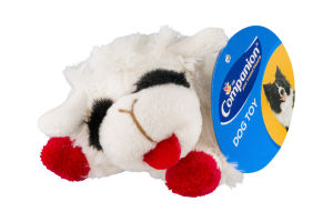 Companion Dog Toy