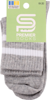Шкарпетки Premier socks вис спорт смуж сірі р18-20
