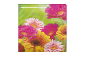 Smart Living Gerbera Glory Napkins - 16 CT