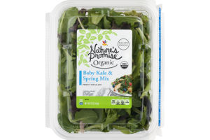 Nature's Promise Organic Baby Kale & Spring Mix