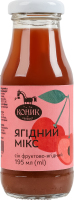 Сок неосветлённый пастеризованный фруктово-ягодный Ягодный микс Gourmet Коник с/бут 195мл