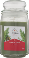 Smart Living Holiday Scented Candle Mistletoe & Pine