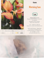 Цибулина Калла Монінг Сан Яскрава