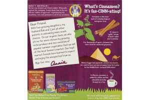 Annie's Homegrown Gluten Free Chewy Granola Bars Oatmeal Cookie - 5 CT