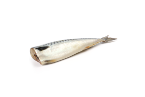 СкумбріяКгБ/гС/с*