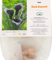 Цибулина Калла Блек Даймонд Яскрава