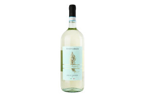 Вино PavoNero Pinot Grigio DOC біле сухе