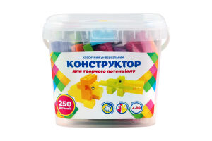 Конструктор універсальний 250деталей DGT-Blocks