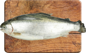 Форель 4+ охлажденная LS