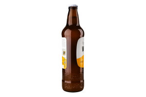 Пиво Primator Weizenbier 0,5л x20