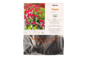 Кореневище Діцентра Розбите серце рожева Яскрава