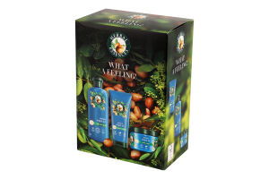 Набiр Argan Oil Шампунь 350мл+Бальзам-ополіскувач 250мл+Маска д/волосся 300мл Herbal Essences