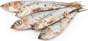 Салака пряного посолу ваг